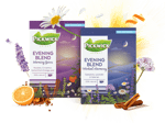 pickwick evening blend assortment