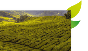 Duurzaamheid pagina duurzame verpakking banner