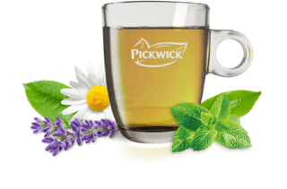 pickwick herbal cup of tea