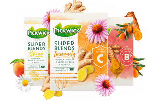pickwick herbal super blends tea familyshot
