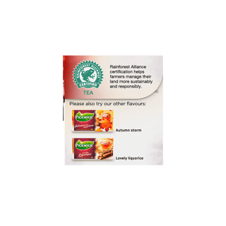 pickwick spices winterglow rightsidee