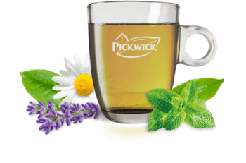 pickwick herbal cup of tea