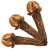 pickwick cloves