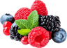 pickwick forest fruits resized  1   1