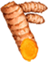 pickwick kurkuma