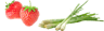 pickwick strawberry lemongrass