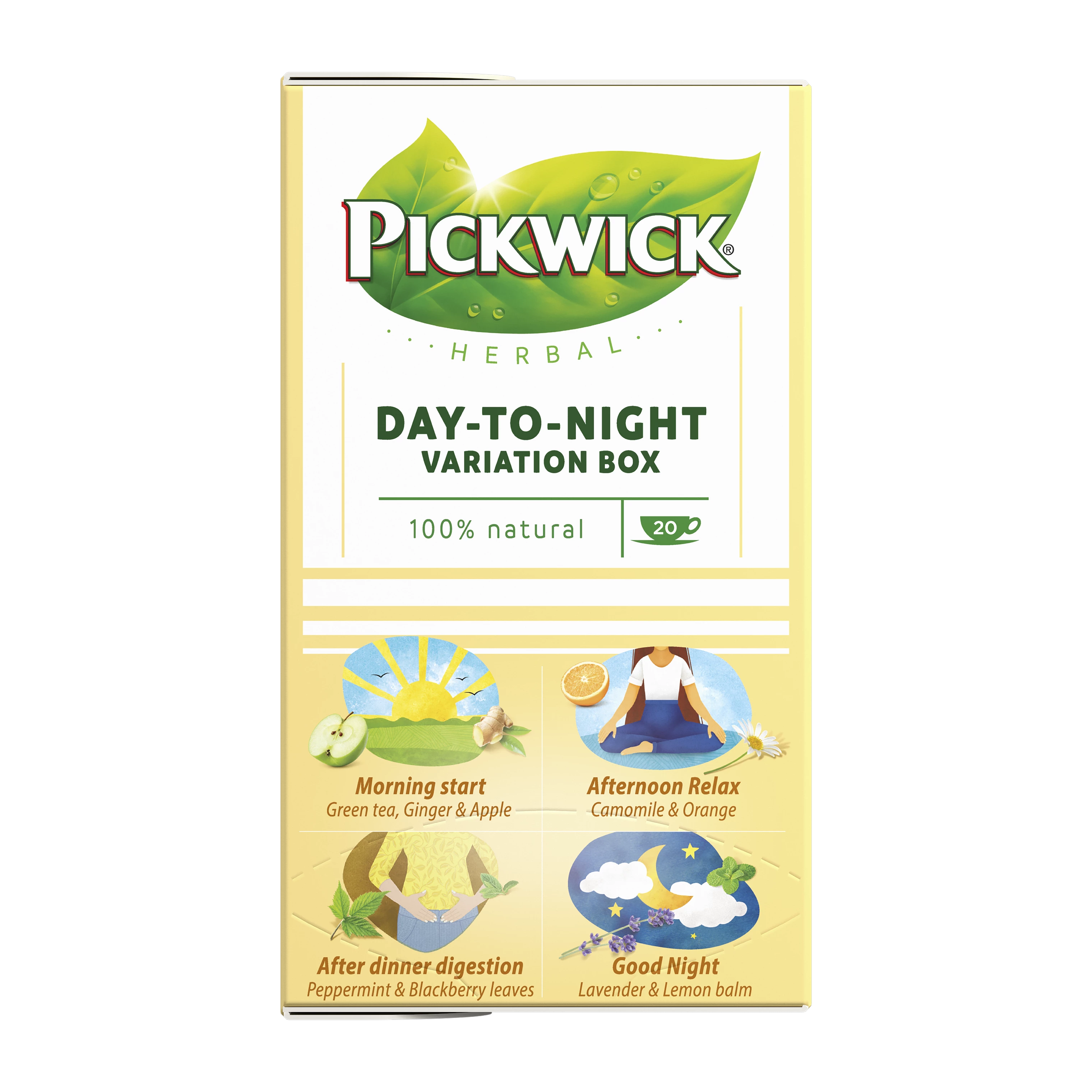 Pickwick day to night variation box visuals