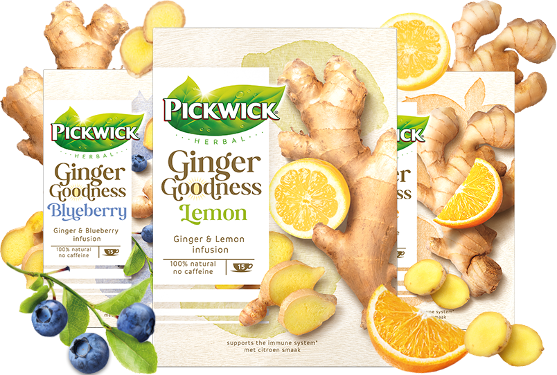 Pickwick Ginger Goodness