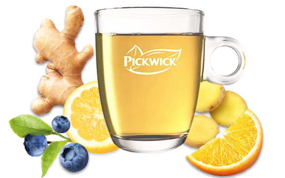 Pickwick ginger goodness mokje visual