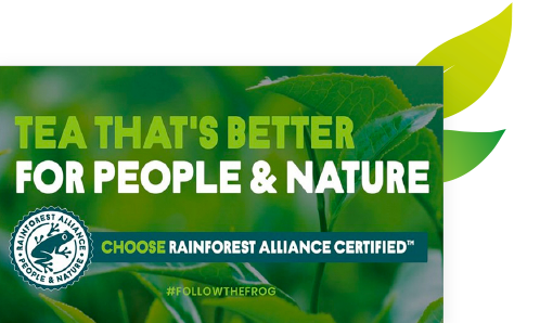 Rainforest Alliance + Thea Leafs.png