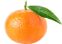 mandarijn (2).png
