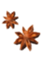 star(2).png