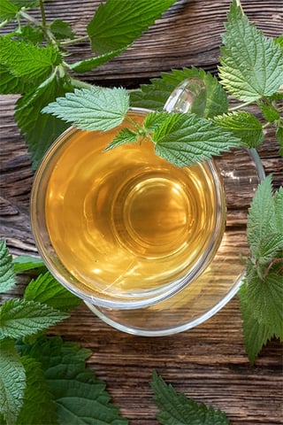 pickwick recept warme dranken brandnetelthee