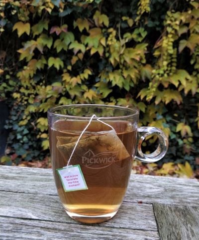 verhaal 7 zin in thee